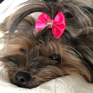 Meet your Posher, Marcelle